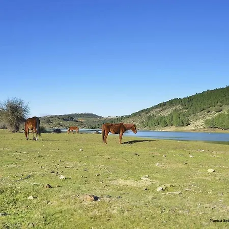 Funtana Ena 3*