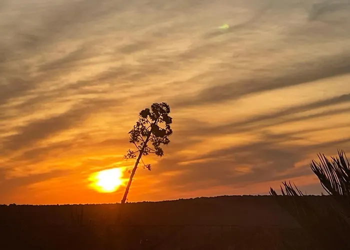 酒店 Funtana Ena Loceri