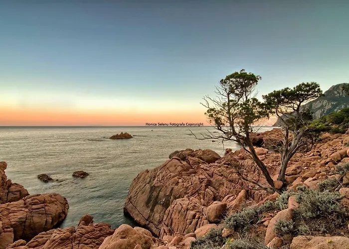 Funtana Ena 酒店 3*